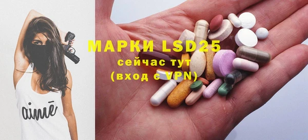 прущие грибы Магас