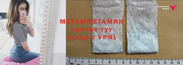 прущие грибы Магас