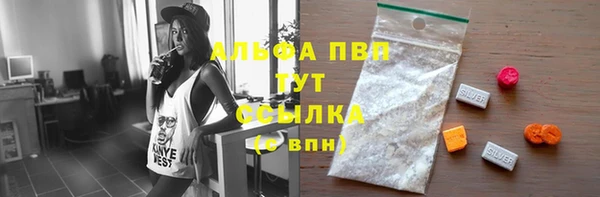 дживик Абаза