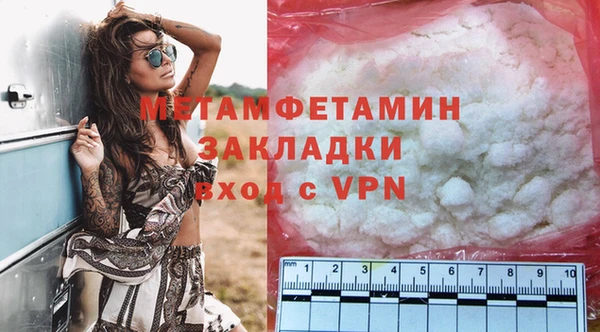 прущие грибы Магас