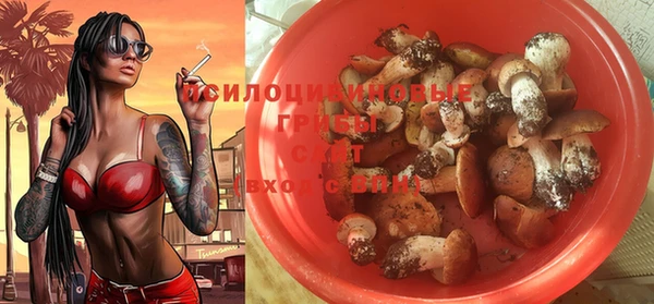 ПСИЛОЦИБИНОВЫЕ ГРИБЫ Липки