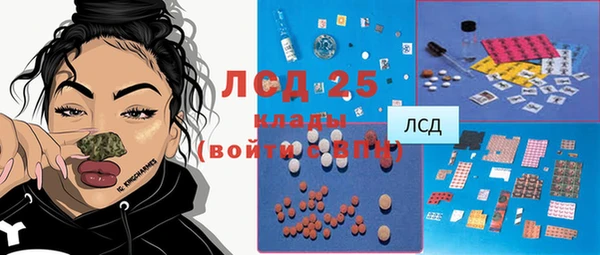 ПСИЛОЦИБИНОВЫЕ ГРИБЫ Липки