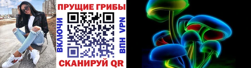 где найти наркотики  Курлово  Псилоцибиновые грибы Cubensis 